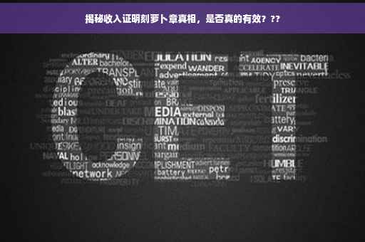 揭秘收入证明刻萝卜章真相，是否真的有效？??