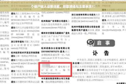 个体户收入证明详解，获取途径与注意事项?✨