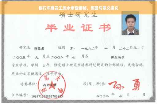 银行年度员工流水审查揭秘，原因与意义探究