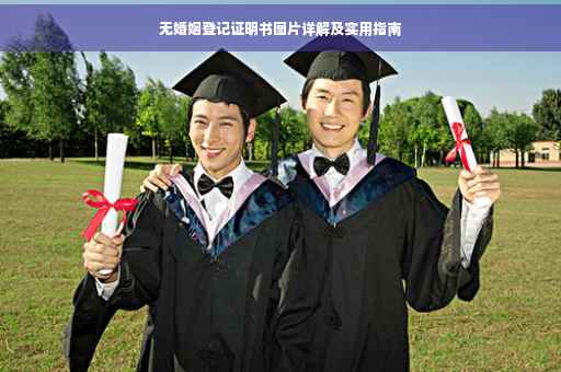 无婚姻登记证明书图片详解及实用指南
