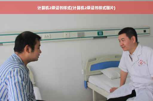 计算机2级证书样式(计算机2级证书样式图片)