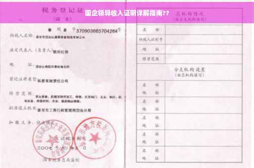 国企领导收入证明详解指南??