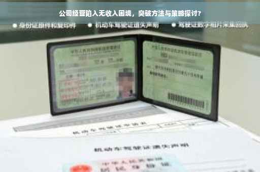 公司经营陷入无收入困境，突破方法与策略探讨?