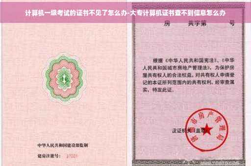 计算机一级考试的证书不见了怎么办-大专计算机证书查不到信息怎么办