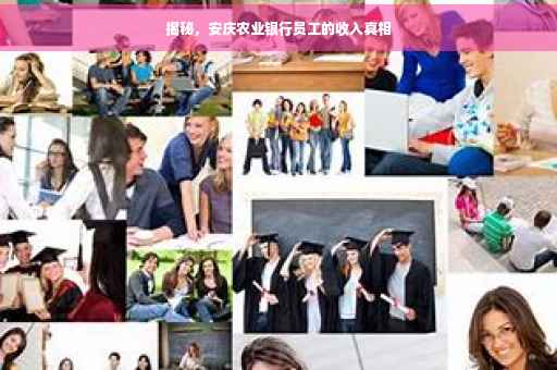 揭秘，安庆农业银行员工的收入真相