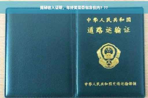 揭秘收入证明，年终奖是否包含在内？??