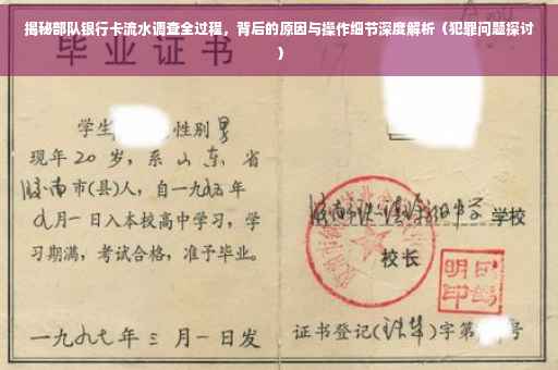 揭秘部队银行卡流水调查全过程，背后的原因与操作细节深度解析（犯罪问题探讨）