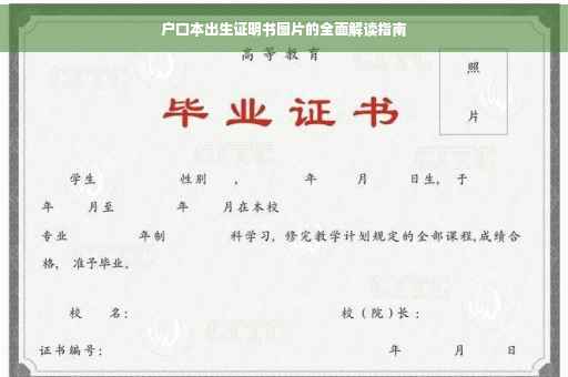 户口本出生证明书图片的全面解读指南