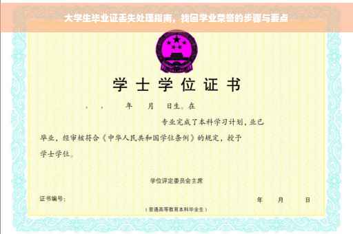 大学生毕业证丢失处理指南，找回学业荣誉的步骤与要点