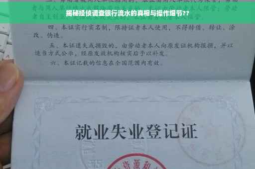 揭秘经侦调查银行流水的真相与操作细节??