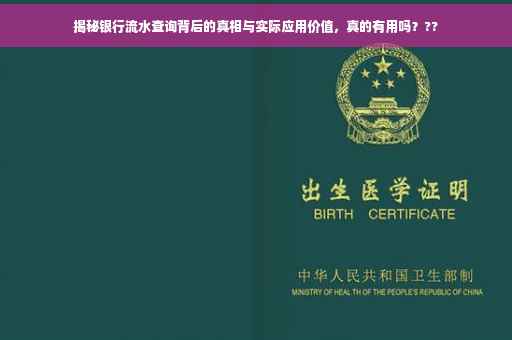 揭秘银行流水查询背后的真相与实际应用价值，真的有用吗？??