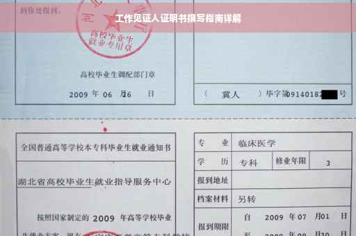 工作见证人证明书撰写指南详解