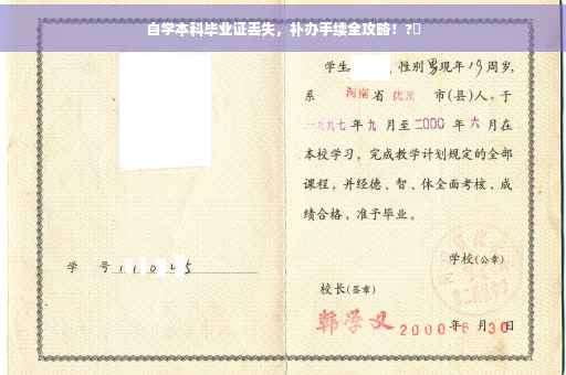 自学本科毕业证丢失，补办手续全攻略！?✨