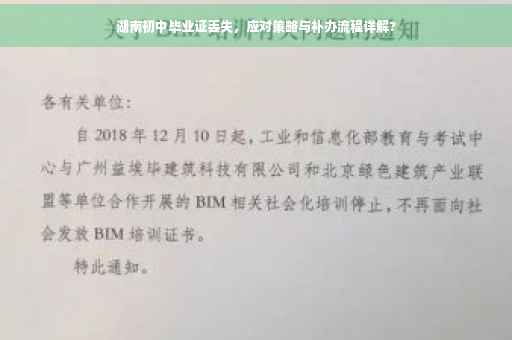 湖南初中毕业证丢失，应对策略与补办流程详解?