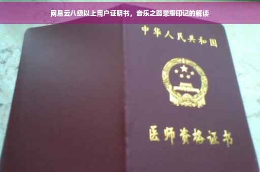 网易云八级以上用户证明书，音乐之路荣耀印记的解读