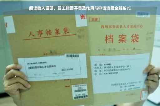 解读收入证明，员工能否开具及作用与申请流程全解析?✨