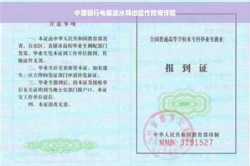 中国银行电脑流水导出操作指南详解