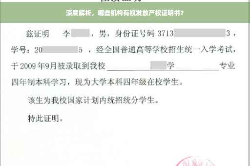 深度解析，哪些机构有权发放产权证明书？