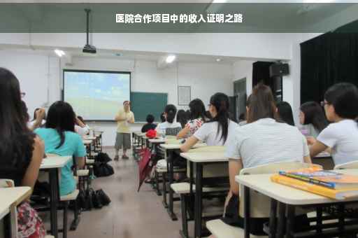 医院合作项目中的收入证明之路