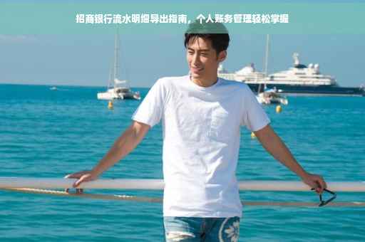 招商银行流水明细导出指南，个人账务管理轻松掌握
