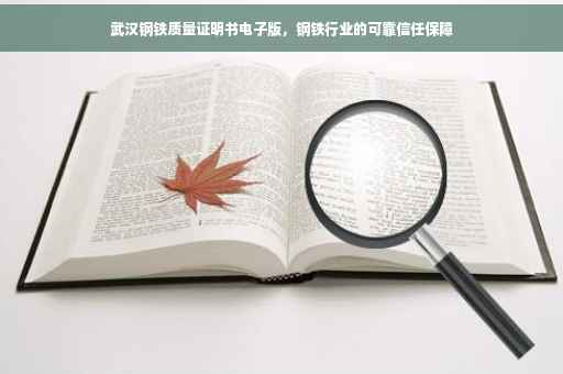 武汉钢铁质量证明书电子版，钢铁行业的可靠信任保障