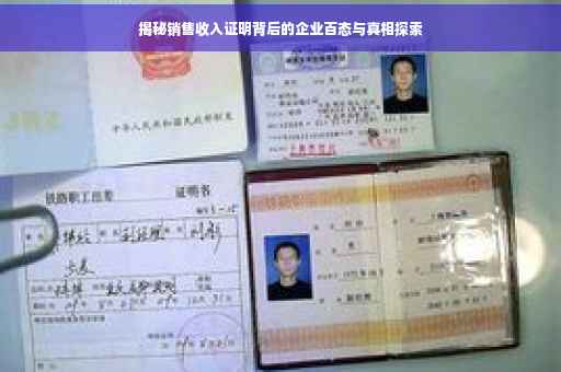 揭秘销售收入证明背后的企业百态与真相探索