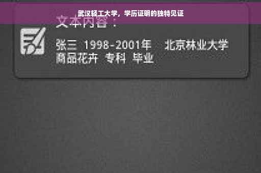 武汉轻工大学，学历证明的独特见证