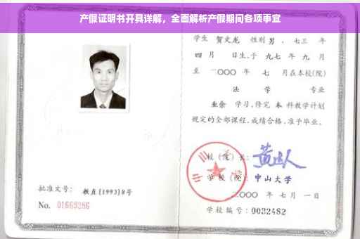 产假证明书开具详解，全面解析产假期间各项事宜