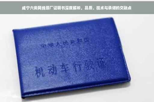 咸宁六类网线原厂证明书深度解析，品质、技术与承诺的交融点