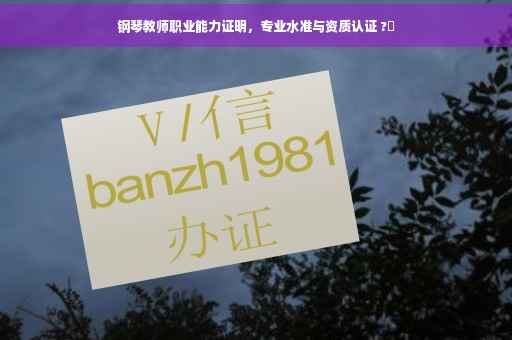钢琴教师职业能力证明，专业水准与资质认证 ?✨