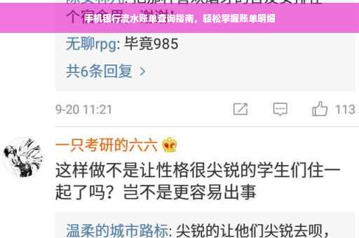 手机银行流水账单查询指南，轻松掌握账单明细