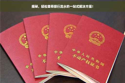 揭秘，轻松查看银行流水的一站式解决方案！