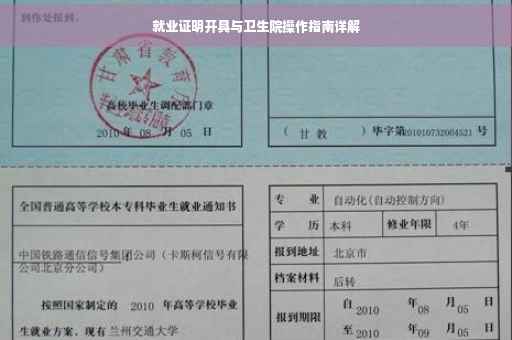 就业证明开具与卫生院操作指南详解
