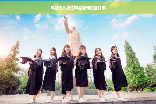 网易云八级证明书查询攻略详解