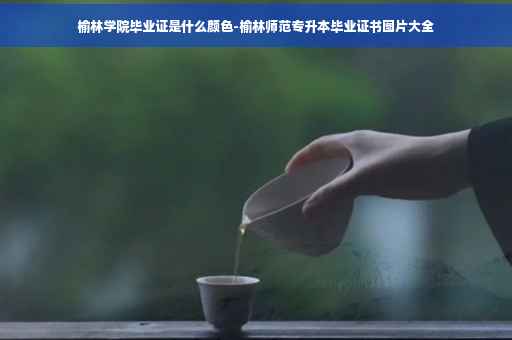 榆林学院毕业证是什么颜色-榆林师范专升本毕业证书图片大全
