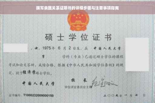撰写亲属关系证明书的详细步骤与注意事项指南