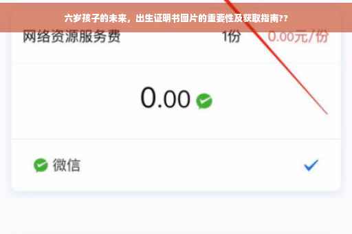 六岁孩子的未来，出生证明书图片的重要性及获取指南??