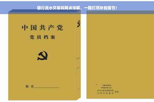 银行流水交易码网点详解，一网打尽所有细节！