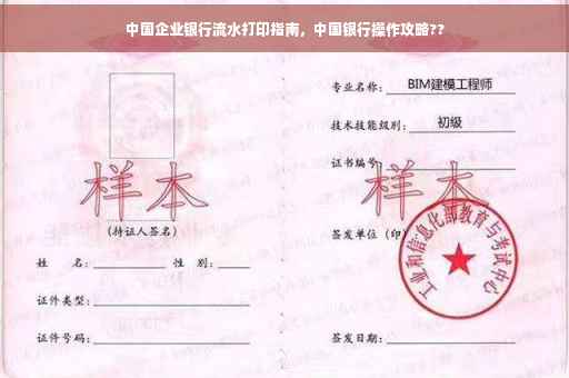 中国企业银行流水打印指南，中国银行操作攻略??