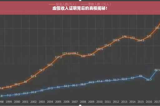 虚假收入证明背后的真相揭秘！