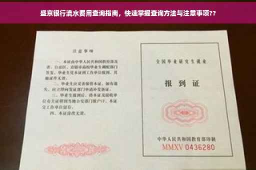 盛京银行流水费用查询指南，快速掌握查询方法与注意事项??