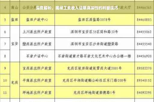 深度解析，揭秘工资收入证明真实性的判断技巧