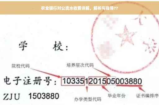 农业银行对公流水收费详解，解析与指导??