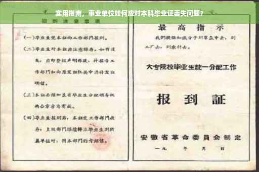 实用指南，事业单位如何应对本科毕业证丢失问题？