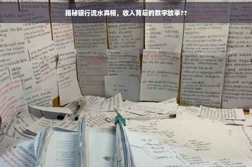 揭秘银行流水真相，收入背后的数字故事??