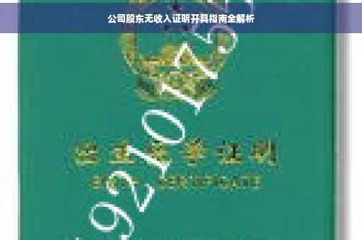 公司股东无收入证明开具指南全解析