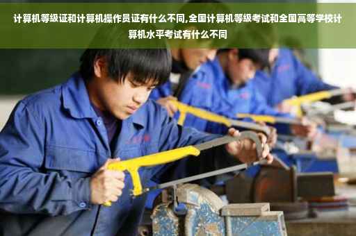 计算机等级证和计算机操作员证有什么不同,全国计算机等级考试和全国高等学校计算机水平考试有什么不同