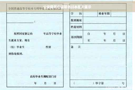 公安局死亡证明书样本图片展示