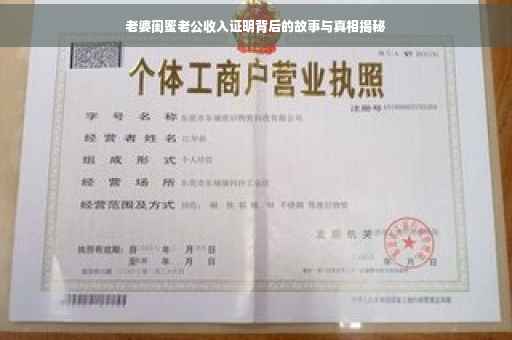老婆闺蜜老公收入证明背后的故事与真相揭秘