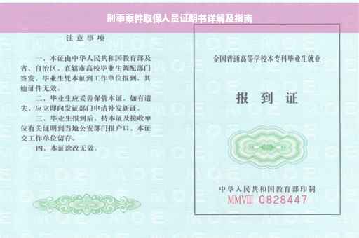 刑事案件取保人员证明书详解及指南
